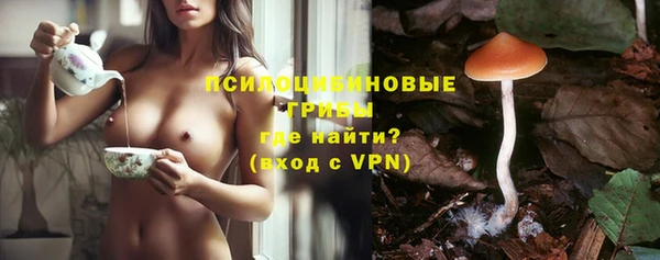 дмт Аркадак